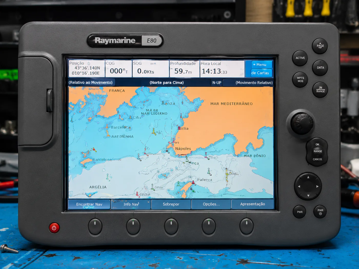 Display Raymarine
